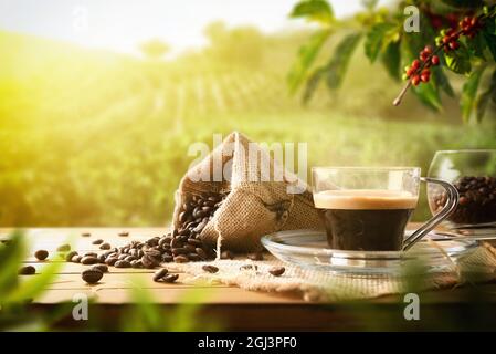 Freshly made coffee on wooden table with sack full of beans and plants and coffee fields in the background with sun rays. Front view. Horizontal compo Stock Photo