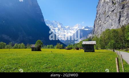 A pretty meadow overlooked by huge mountains in the Lauterbrunnen Valley in Switzerland Stock Photo