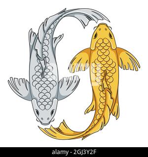 Colored illustration with gold and silver colored koi carp fish. Isolated vector objects on white background. Stock Vector