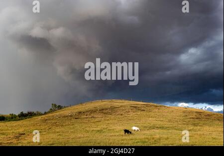 Prairie Storm Canada Summer time clouds warning Stock Photo