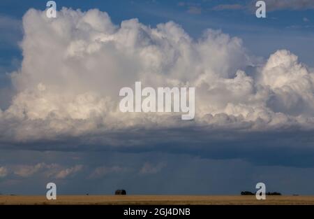 Prairie Storm Canada Summer time clouds warning Stock Photo