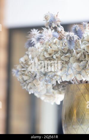 A beautiful multi-colored bouquet of hydrangeas on the table. Home comfort. High quality photo Stock Photo