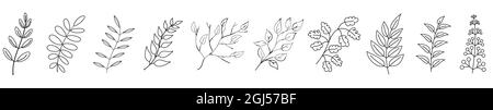 Autumn twigs. Black branches isolated. Set of linear autumn branches. Vector illustration. Stock Vector