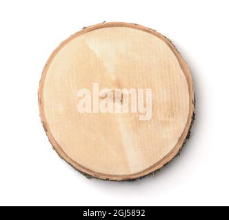 Top view of birch tree trunk cross section isolated on white Stock Photo