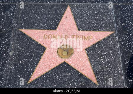 Detailed view of the star of Donald Trump on the Hollywood Walk of Fame on Hollywood Blvd., Wednesday, Sept. 8, 2021, in Los Angeles. Stock Photo