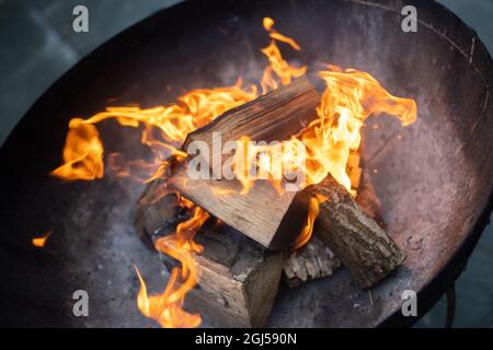 Outdoor log burning fire in black metal fire pit.  Chopped wooden logs in red and orange hot flames burning in firepit outside. Stock Photo