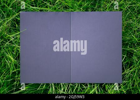 Top view of square frame, creative layout of green grass lawn with black open postcard and shadows from the sun. Form for the invitation card Stock Photo