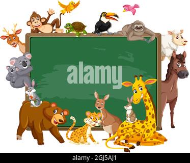 Empty blackboard with various wild animals in the forest illustration ...