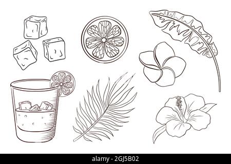 palm leaf coloring page