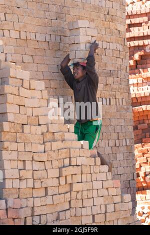 Africa, Madagascar, Antananarivo Province. Brick making factory, a young Malagasy man carrying dried bricks on his head to where they will be fired. Stock Photo