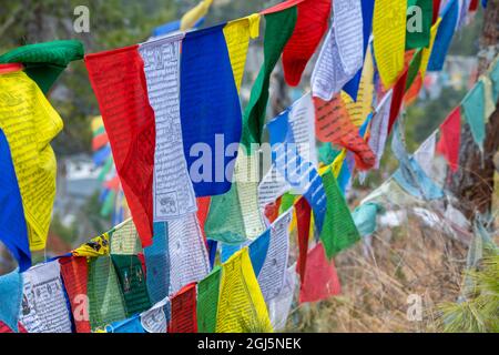 Bhutan, Thimphu. Colorful prayer flags on mountain top at the Sangaygang Geodetic Station. Stock Photo