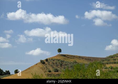 minimal landscape in Sicily white clouds above tree on the top of the hill Stock Photo