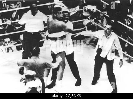 (Muhammad Ali) Cassius Clay in the boxing ring with Sonny Listo 1964 Stock Photo