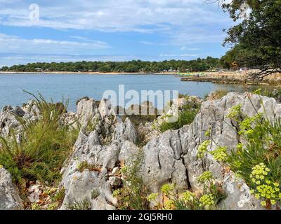 Rocky landscape on the Adriatic Sea in Croatia Stock Photo