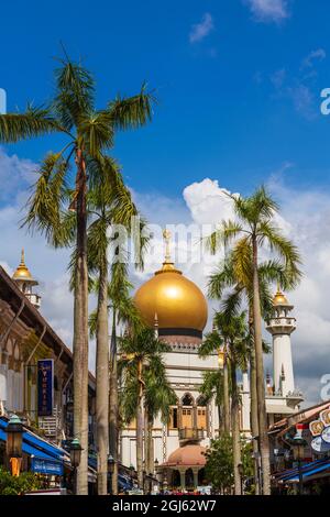 Masjid Sultan mosque and shops on Arab Street in the Malay Heritage District, Singapore. Stock Photo