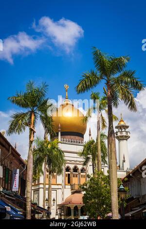 Masjid Sultan mosque and shops on Arab Street in the Malay Heritage District, Singapore. Stock Photo