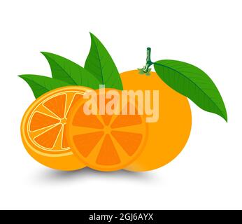 Fresh orange with orange slice with leaves isolated on white background. Vector fruit design. Stock Vector