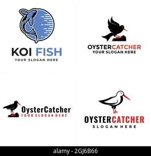 Animal koi fish and oyster catcher vector logo design Stock Vector