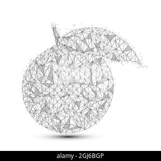 Abstract Orange with consisting of point, line and shape in the design. Fresh fruit Orange vector on white background. Stock Vector