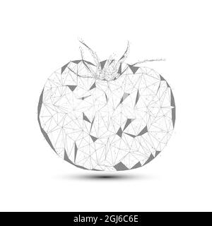 Abstract Tomato with consisting of point, line and shape in the design. Fresh fruit Tomato vector on white  background. Stock Vector