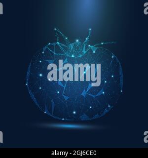 Abstract futuristic Tomato with consisting of point, light, line and shape in the design. Fresh fruit Tomato vector on light dark blue background. Stock Vector