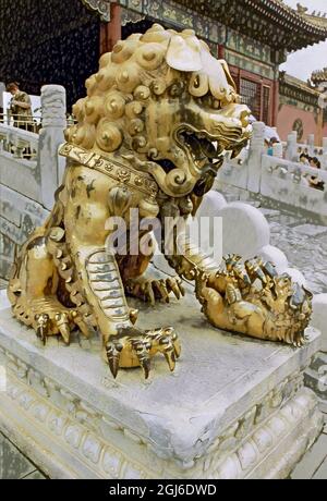 Golden lion at a gate in the The Forbidden City, GuGong, Beijing, China, UNESCO World Heritage Site, Gate of Heavenly Purity, QianQing palace Stock Photo