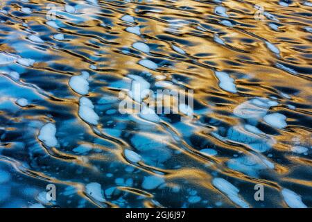 Ice ripples and methane ice bubbles under clear ice on Abraham Lake near Nordegg, Alberta, Canada. Stock Photo
