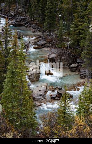 Nigel Creek. Banff National Park. Alberta. Canada Stock Photo - Alamy