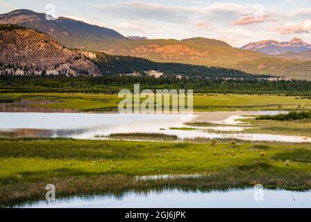 Canada, British Columbia. Wetlands at southern end of Columbia Lake, source of Columbia River. Stock Photo