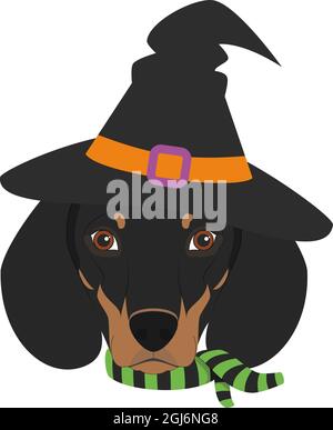 Cute cartoon dachshund dog dressed up in a Santa hat and costume. Dog ...