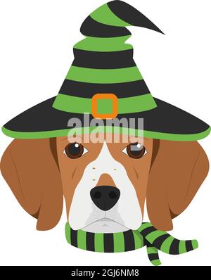 Halloween greeting card. Beagle dog dressed as a witch with black and green hat and scarf Stock Vector