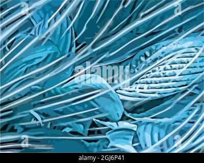 abstract illustration of blue flowers under water, plant background. Vector illustration Stock Vector