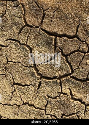 The cracked mud of the dry bottom of reservoir in the summer Stock Photo