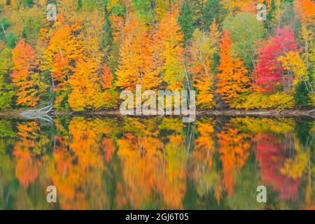 Canada, Quebec, Saint-Mathieu-du-Parc. Autumn colors reflected in Lac Trudel. Credit as: Mike Grandmaison / Jaynes Gallery / DanitaDelimont. com Stock Photo