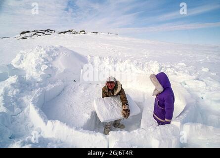 Baker Lake, Nunavut, Canada. Inuit elder man, dressed in modern winter clothing, placing ice blocks while building traditional igloo. His four-year-ol Stock Photo