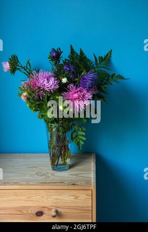 Colorful Aster flowers bouquet on bright wooden chest of drawers in blue painted room. Autumn rustic interior ideas concept. Lifestyle background. Stock Photo