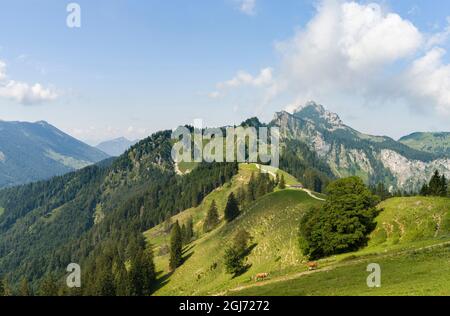 Mt. Kampenwand in the Chiemgau Alps in upper Bavaria. Europe, Germany, Bavaria Stock Photo