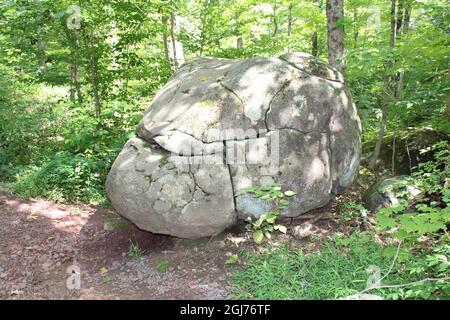 A Large Boulder Near a Forest Path Stock Photo