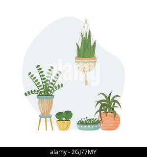 The flat illustration with house pants in pots. Planting. Decorative plants in the interior of the house. Flat style. Stock Vector