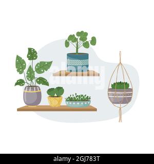 The flat illustration with house pants in pots. Planting. Decorative plants in the interior of the house. Flat style. Stock Vector