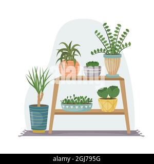 The flat illustration with house pants in pots. Planting. Decorative plants in the interior of the house. Flat style. Stock Vector