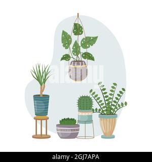 The flat illustration with house pants in pots. Planting. Decorative plants in the interior of the house. Flat style. Stock Vector