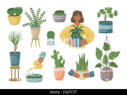 The set of house plants in the pots. Planting plants. Decorative plants in the interior of the house. Flat style. Stock Vector
