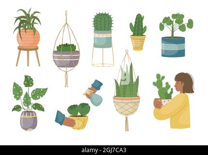 The set of house plants in the pots. Planting plants. Decorative plants in the interior of the house. Flat style. Stock Vector