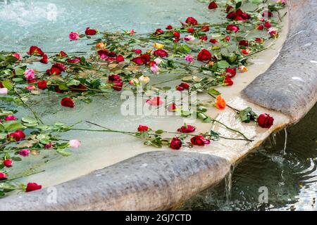 Italy, Rome. Fontana della Barcaccia, by Pietro Bernini (1627-1629). Rose petals floating on water in fountain. Stock Photo