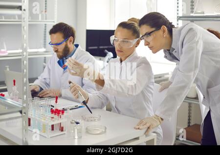 Group of scientist analyzing chemical liquids taking samples with pipette Stock Photo