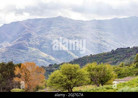 Italy, Sicily, Messina Province, Francavilla di Sicilia. View of the forested hills around Francavilla di Sicilia. Stock Photo