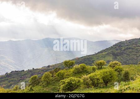 Italy, Sicily, Messina Province, Francavilla di Sicilia. View of the forested hills around Francavilla di Sicilia. Stock Photo