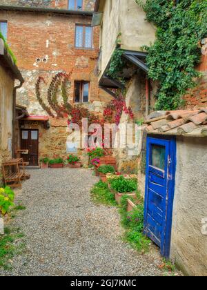 Europe, Italy, Chianti. Back street alleyway with bright blue hand painted door and climbing plant on the wall of the old stone buildings. Stock Photo