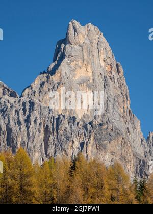 Cimon Della Pala. Peaks towering over Val Venegia seen from Passo Rolle. Pala group (Pale di San Martino) in the dolomites of Trentino, Italy. Pala is Stock Photo